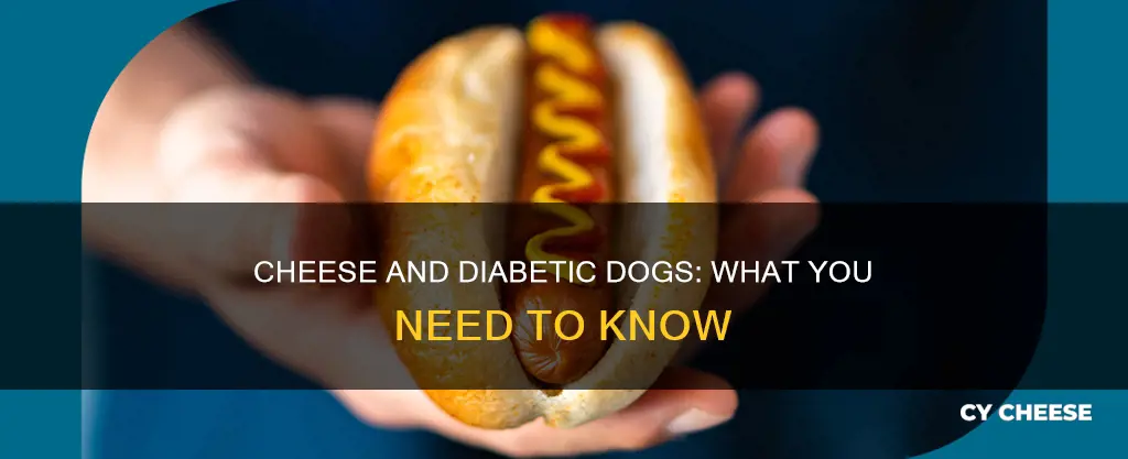 is cheese bad for diabetic dogs