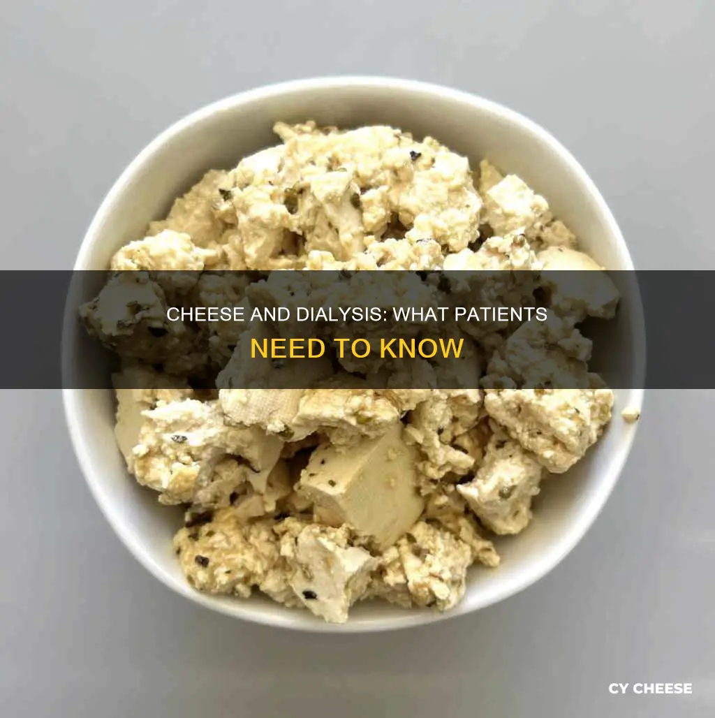 is cheese bad for dialysis patients