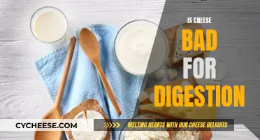 Cheese and Digestion: A Healthy Relationship?