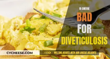 Cheese and Diverticulitis: A Risky Combination?