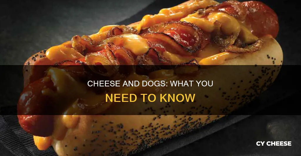 is cheese bad for dogs uk