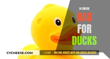 Cheese and Ducks: A Bad Combination?