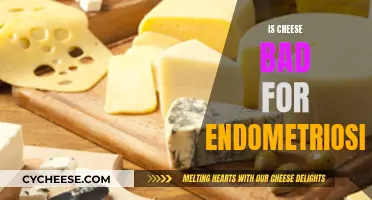 Cheese and Endometriosis: A Risky Relationship?