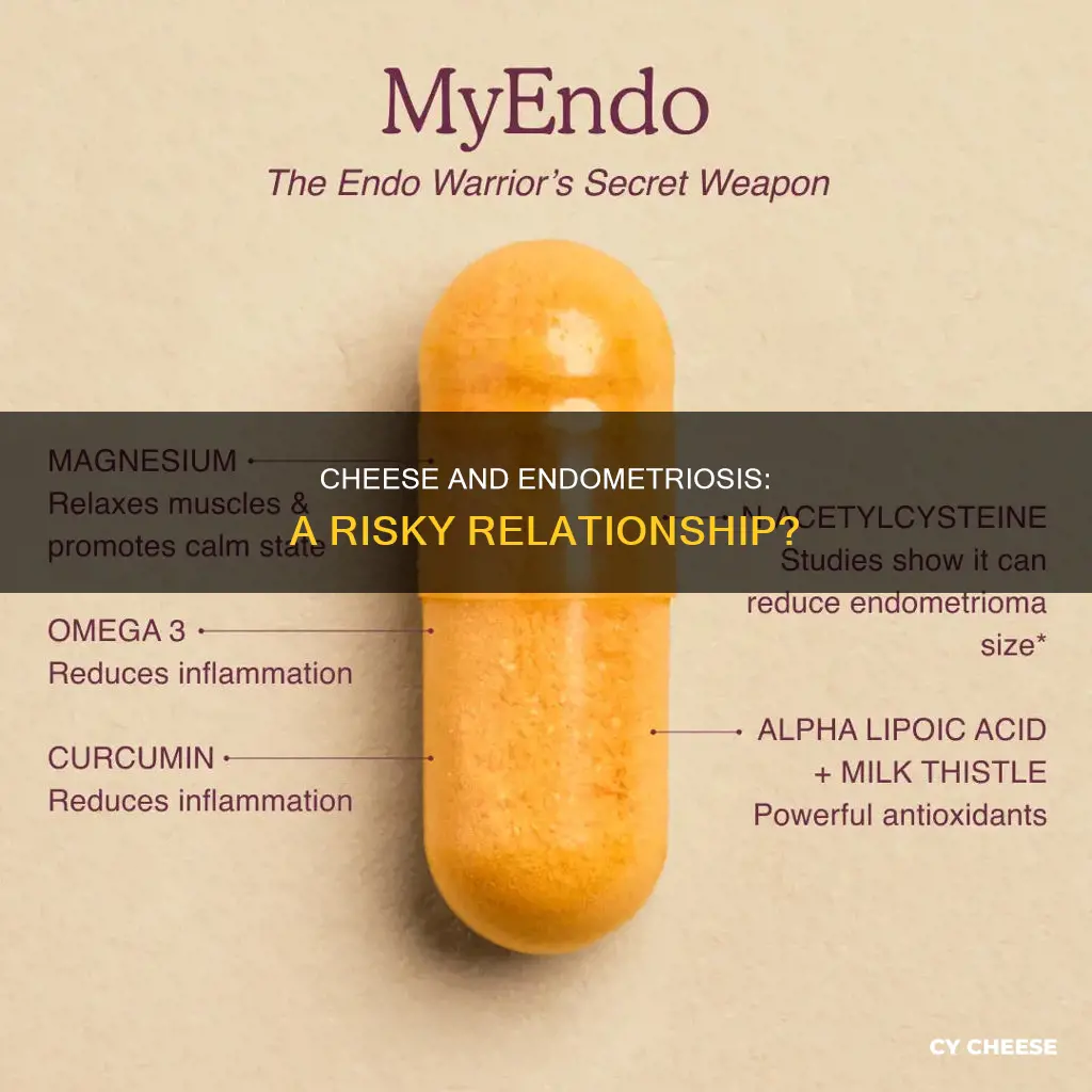 is cheese bad for endometriosis