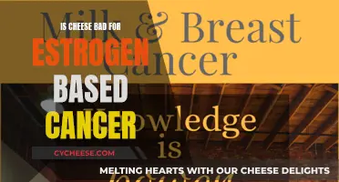 Cheese and Estrogen-Based Cancers: A Risky Combination?