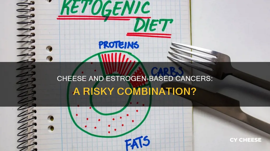 is cheese bad for estrogen based cancer