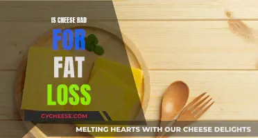 Cheese and Fat Loss: Friends or Foes?