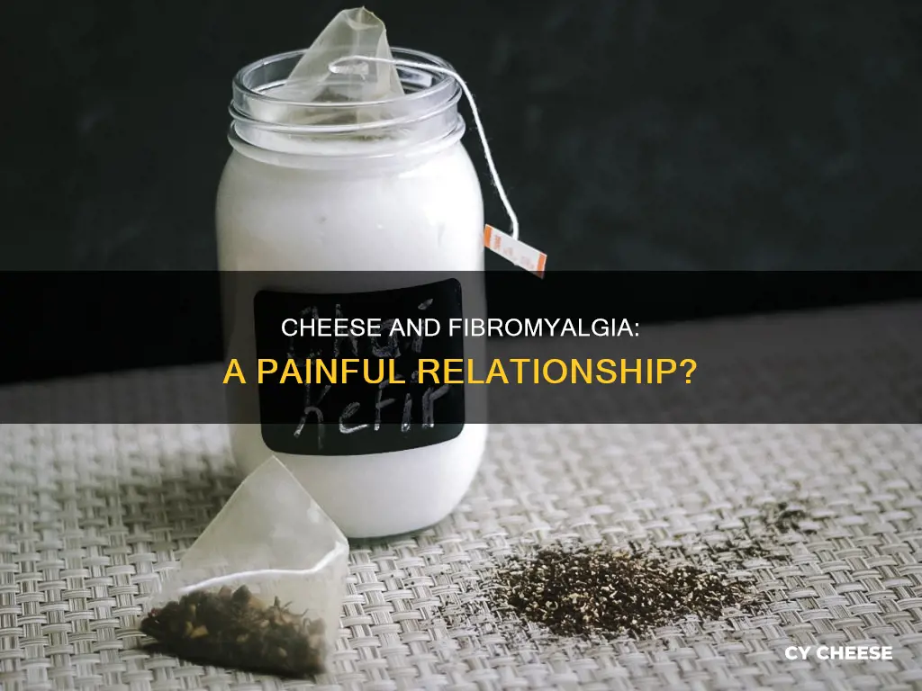 is cheese bad for fibromyalgia