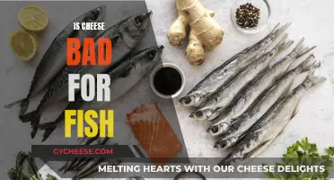 Cheese and Fish: A Healthy Mix?