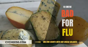 Cheese and Flu: A Healthy Combination?