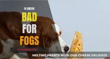 Cheese and Dogs: A Dangerous Mix?