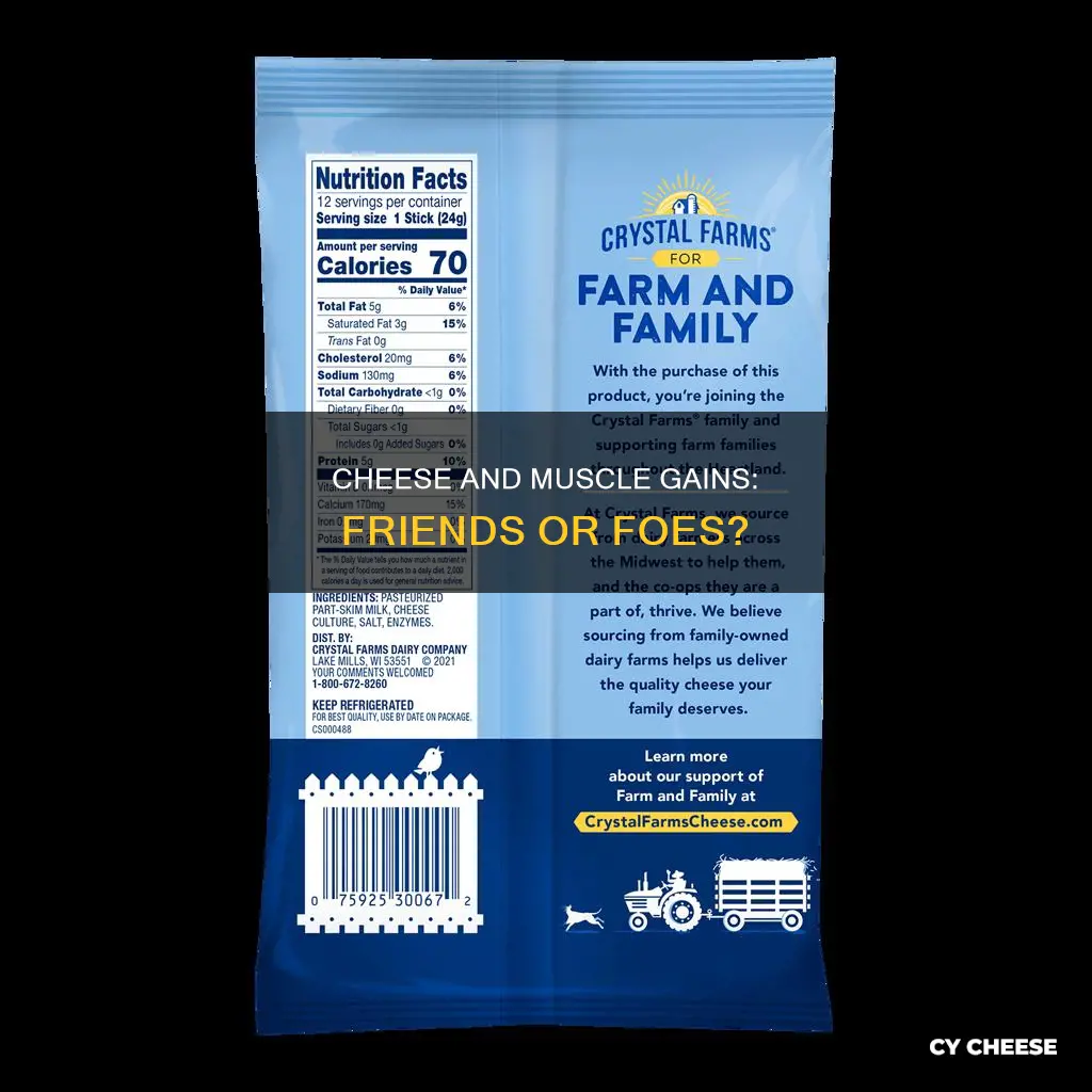 is cheese bad for gains