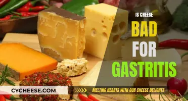 Cheese and Gastritis: A Good or Bad Mix?