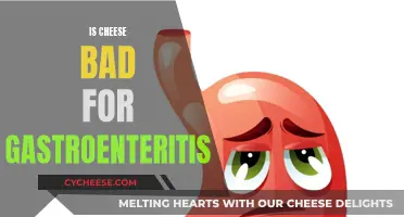 Cheese and Gastroenteritis: A Risky Combination?
