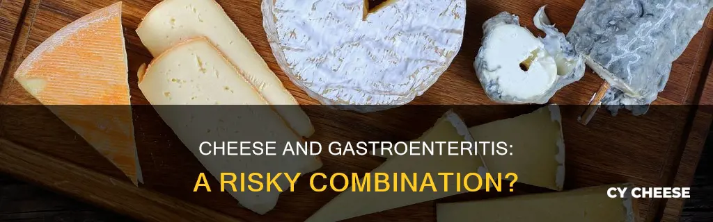 is cheese bad for gastroenteritis