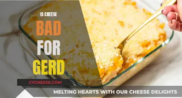 Cheese and GERD: A Risky Combination?