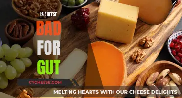 Cheese and Gut Health: Friends or Foes?