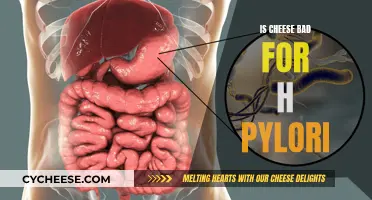 Cheese and H. Pylori: What's the Connection?