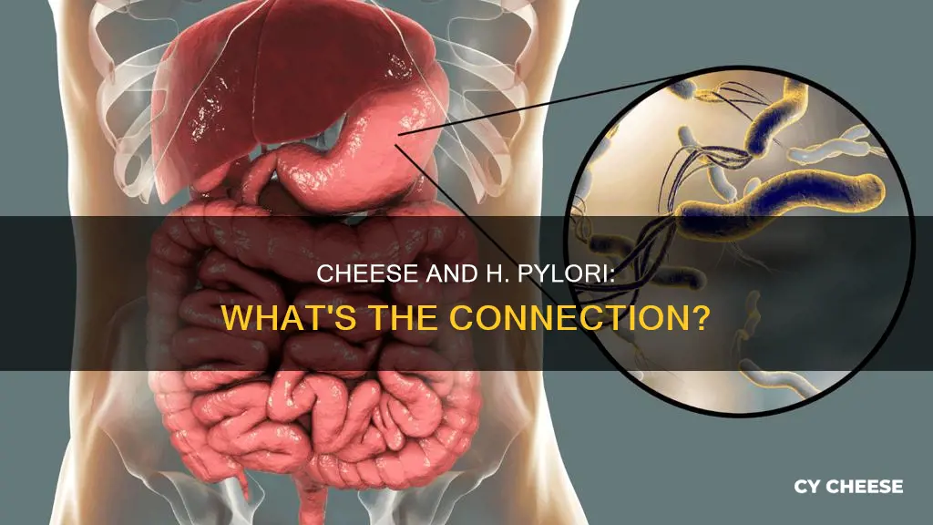 is cheese bad for h pylori
