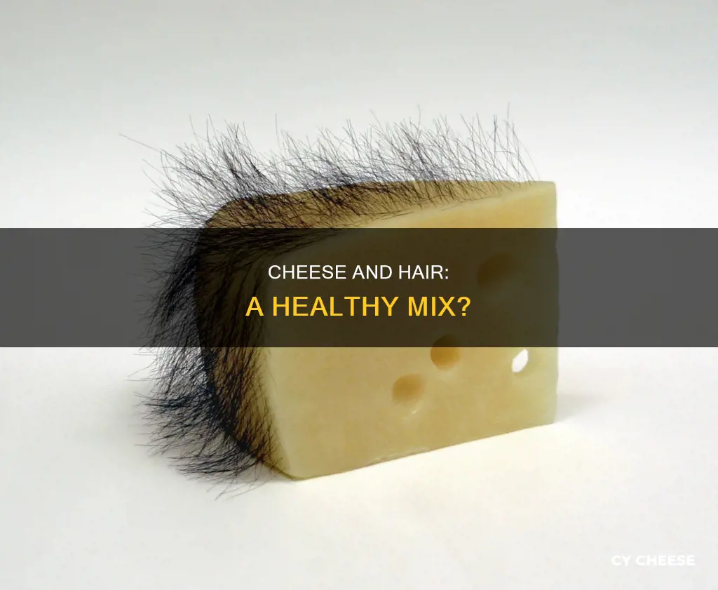 is cheese bad for hair