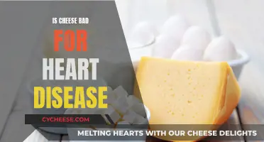 Cheese and Heart Disease: What's the Real Danger?