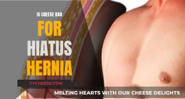 Cheese and Hiatus Hernia: What You Need to Know