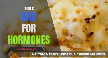 Cheese and Hormones: What's the Real Deal?
