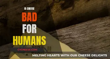 Cheese and Health: Friend or Foe?