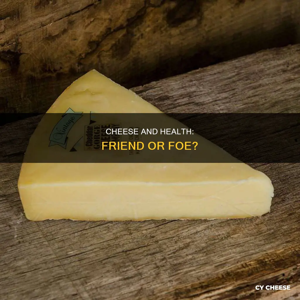 is cheese bad for humans