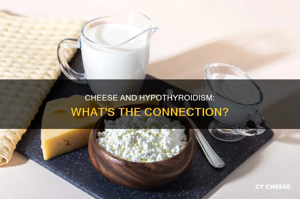 is cheese bad for hypothyroidism