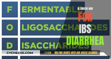 Cheese and IBS: What You Need to Know