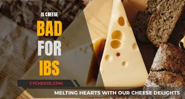 Cheese and IBS: What You Need to Know