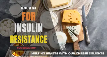 Cheese and Insulin Resistance: What's the Connection?