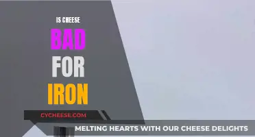Cheese and Iron: A Healthy Balance