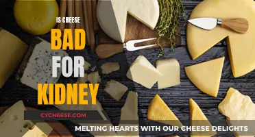 Cheese and Kidney Health: What's the Connection?