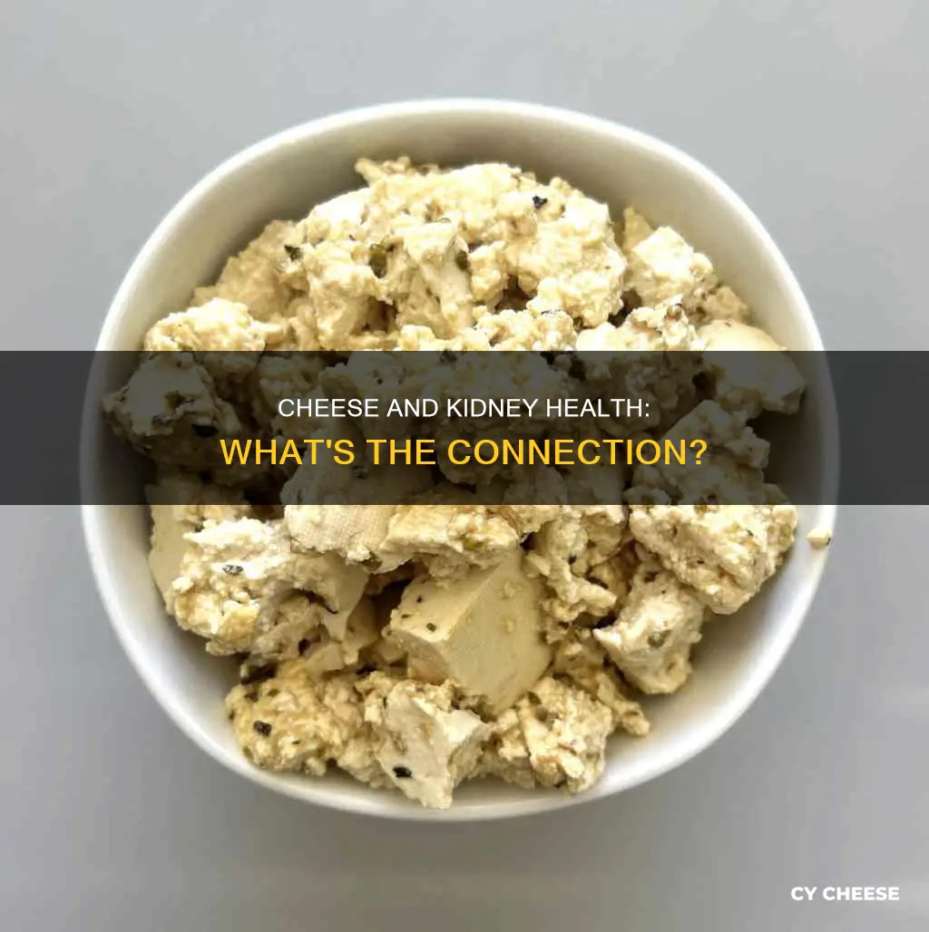 is cheese bad for kidney