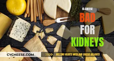 Cheese and Kidney Health: What's the Connection?