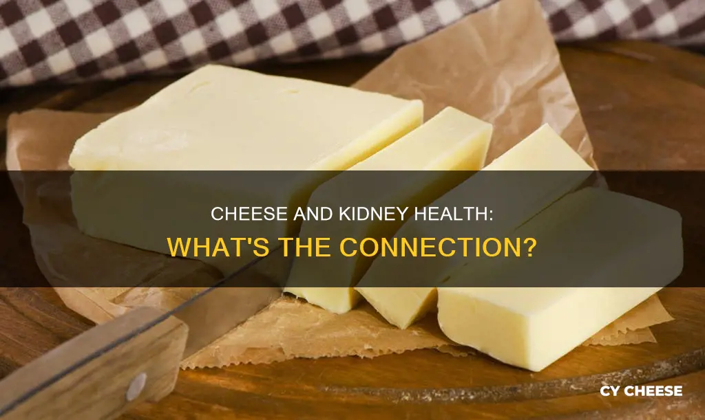 is cheese bad for kidneys