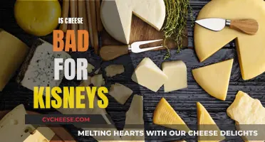 Cheese and Kidney Health: What's the Connection?