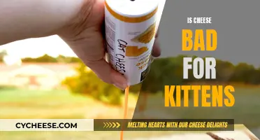 Cheese and Kittens: A Dangerous Mix?