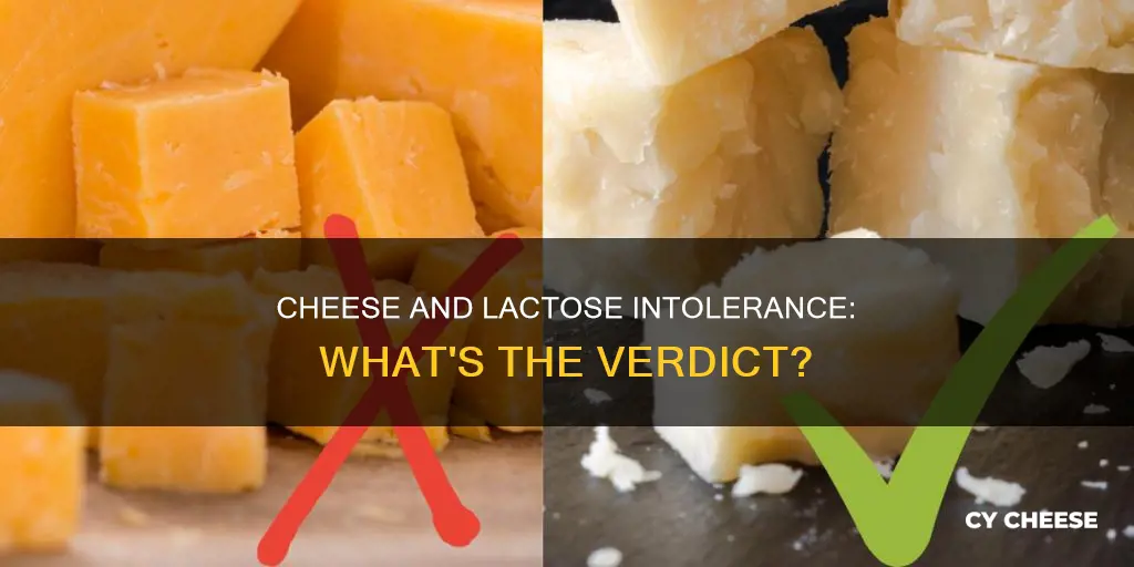 is cheese bad for lactose intolerance