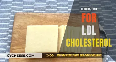 Cheese and Cholesterol: Is Cheese Bad for LDL?