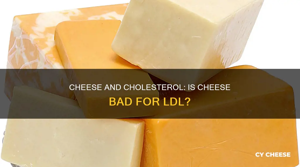is cheese bad for ldl cholesterol
