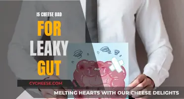 Cheese and Leaky Gut: What's the Connection?