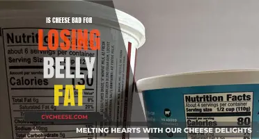 Cheese and Belly Fat: Friends or Foes?