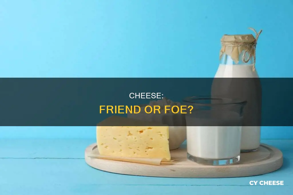 is cheese bad for me