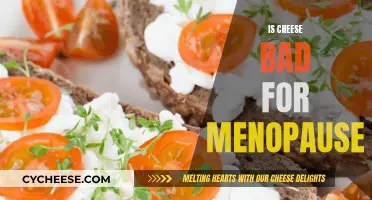 Cheese and Menopause: A Healthy Relationship?