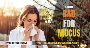 Cheese and Mucus: What's the Deal?
