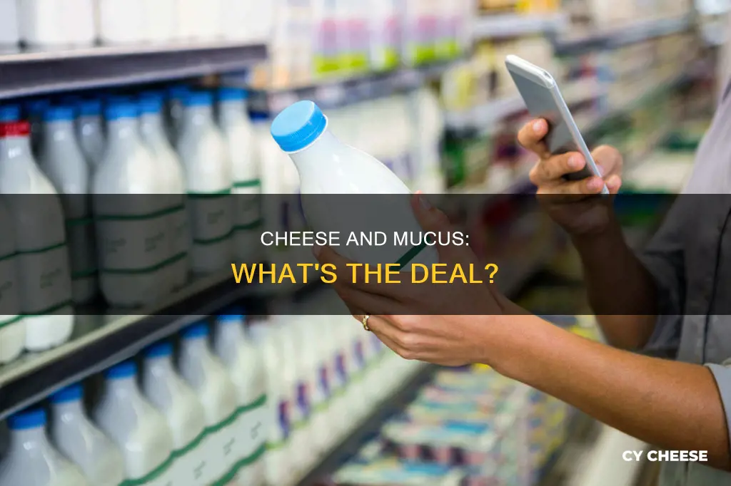is cheese bad for mucus