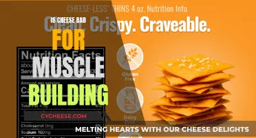 Cheese and Muscle Building: Friends or Foes?